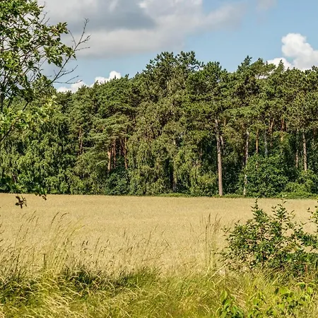 Cozy In With Sauna Nyaraló Knebel